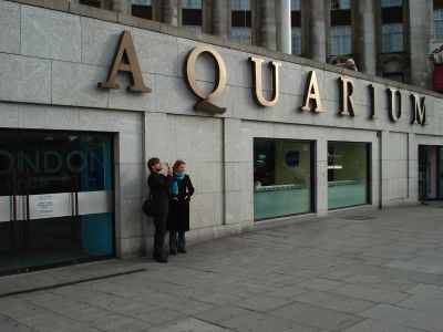 Кассы аквариума открыты до 17 часов. Цена посещения варьируется в зависимости от возраста посетителей и льгот. 