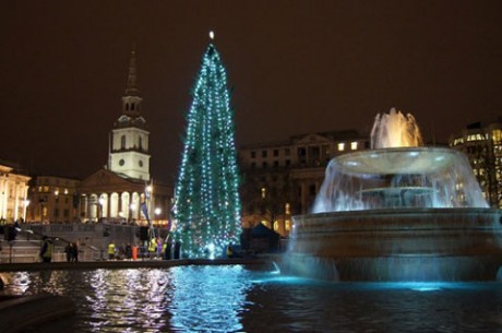 На Трафальгарской площади установили рождественскую ель