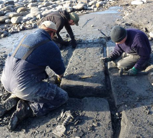 Британское побережье Юрского периода наполнили искатели останков диназавров
