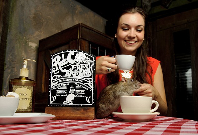 Кафе с крысами открылось в Лондоне