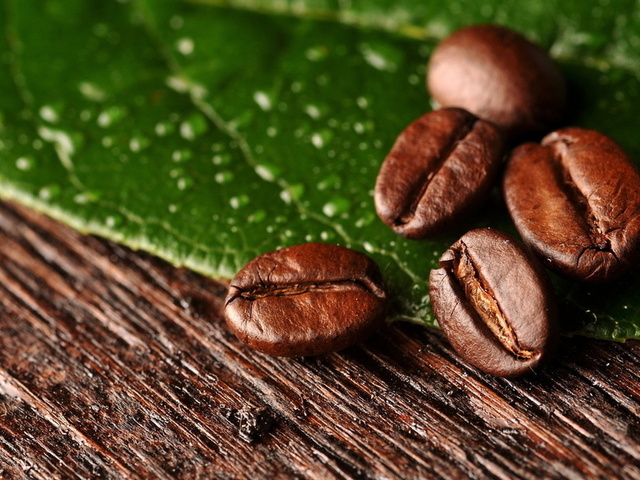Ученые Королевского ботанического сада Лондона исследовали кофейные листья